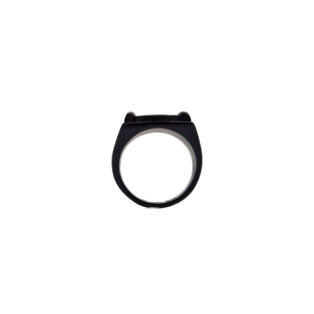 Miraculous Cat Noir Ring – Zag Store Europe