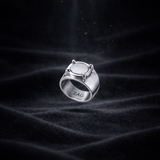 El anillo de Adrien el Miraculous