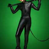 Miraculous Cat Noir Cosplay Costume Set - Adult