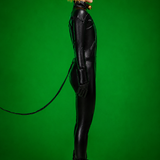 Miraculous Cat Noir Cosplay Costume Set - Adult