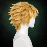 Miraculous Cat Noir Cosplay Wig