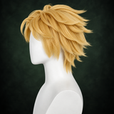 Miraculous Cat Noir Cosplay Wig