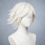 Miraculous Cat Blanc Cosplay Wig