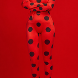 Miraculous Ladybug Cosplay Costume Set – Adult
