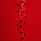 Miraculous Ladybug Cosplay Costume Set – Adult