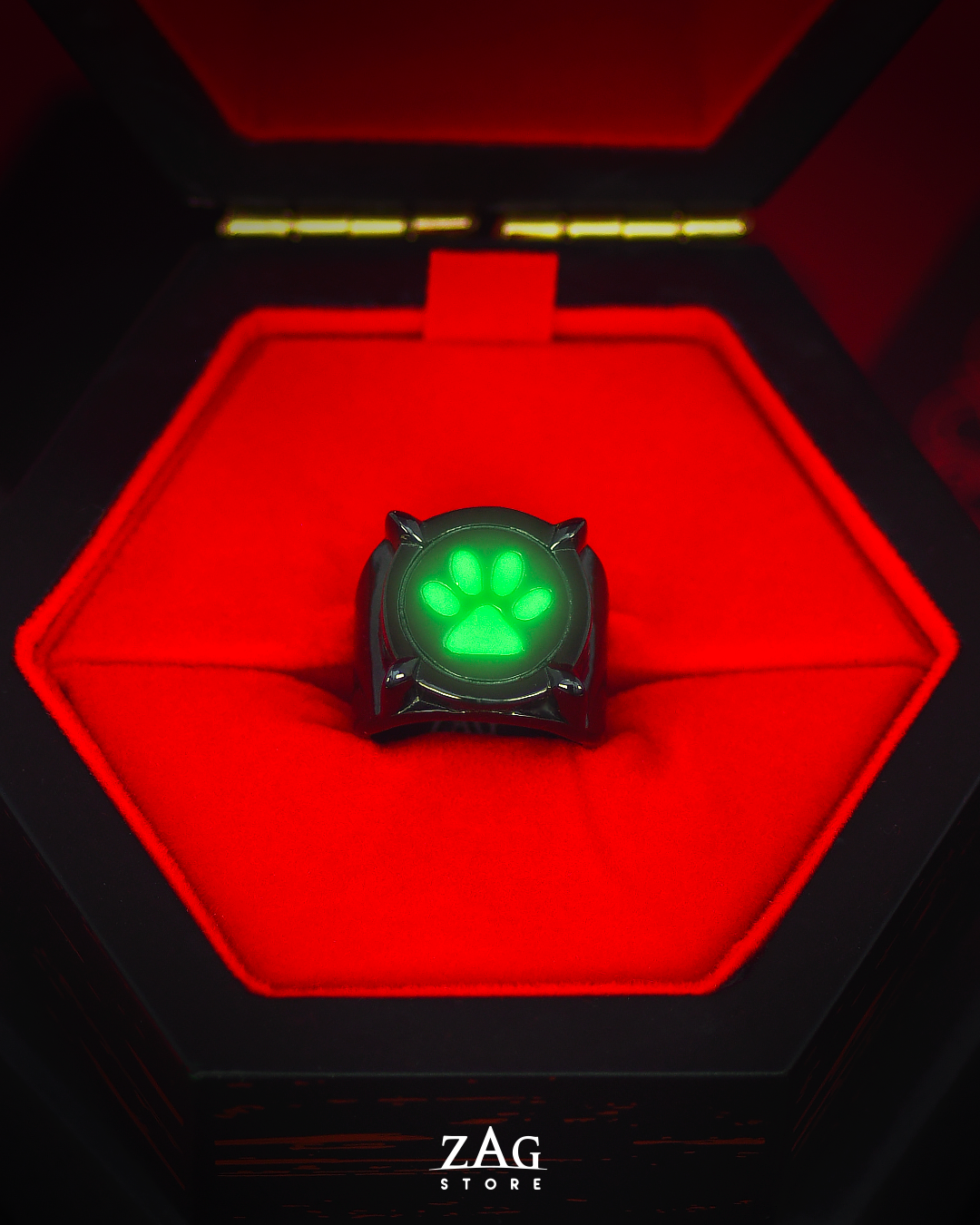 Miraculous Ladybug Cat Noir glowing activated ring 