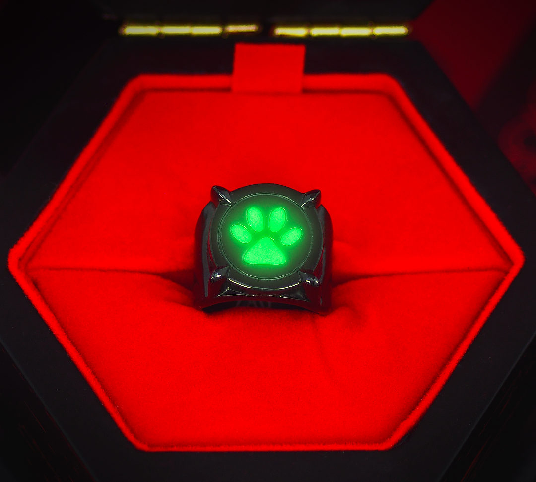 Miraculous Ladybug Cat Noir glowing activated ring 