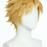 Miraculous Cat Noir Cosplay Wig