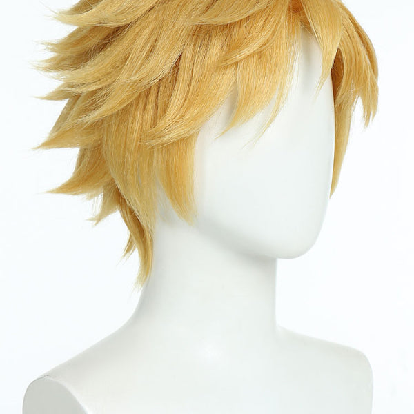 Miraculous Cat Noir Cosplay Wig