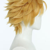 Miraculous Cat Noir Cosplay Wig