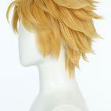 Miraculous Cat Noir Cosplay Wig