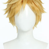 Miraculous Cat Noir Cosplay Wig