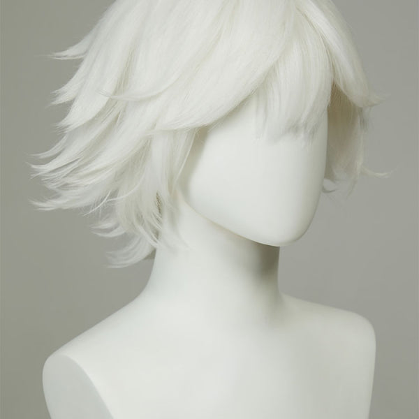 Miraculous Cat Blanc Cosplay Wig