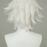 Miraculous Cat Blanc Cosplay Wig
