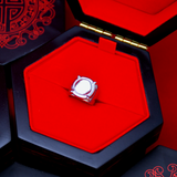 Miraculous Adrien's Ring