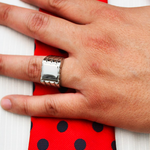 Miraculous Ladybug Adrien's cousin ring