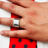 Miraculous Ladybug Adrien's cousin ring