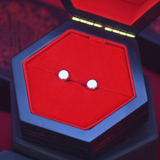 Miraculous Adrien Camouflage Earrings