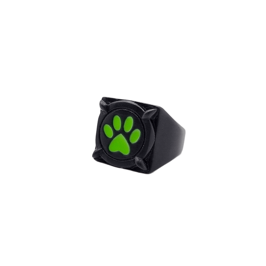 Miraculous Cat Noir Ring – Zag Store