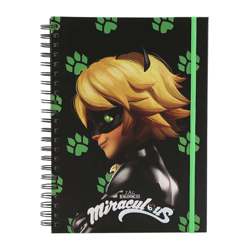 Super Heroes Notebook Cat Noir