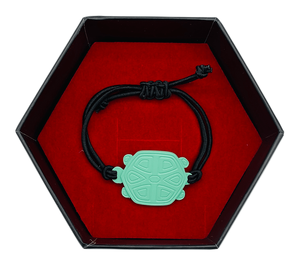 Miraculous Carapace Bracelet in the sending box 